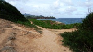 Trail_to_Mahaulepu_Beach_01 Trail along the ocean leading to Mahaulepu Beach